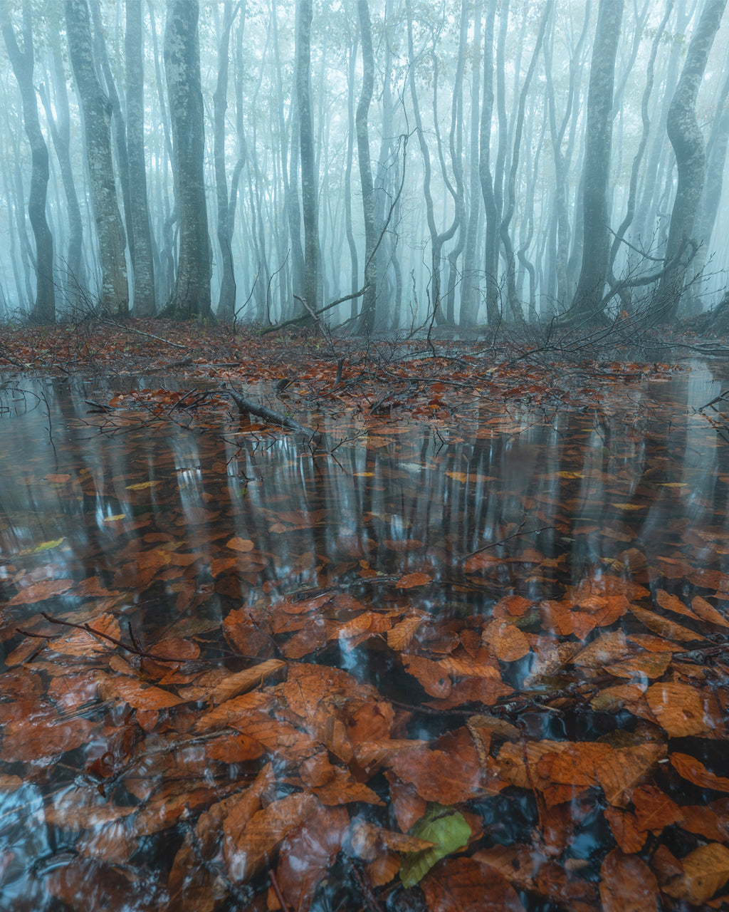 Im..|Vol.01 — 私は —