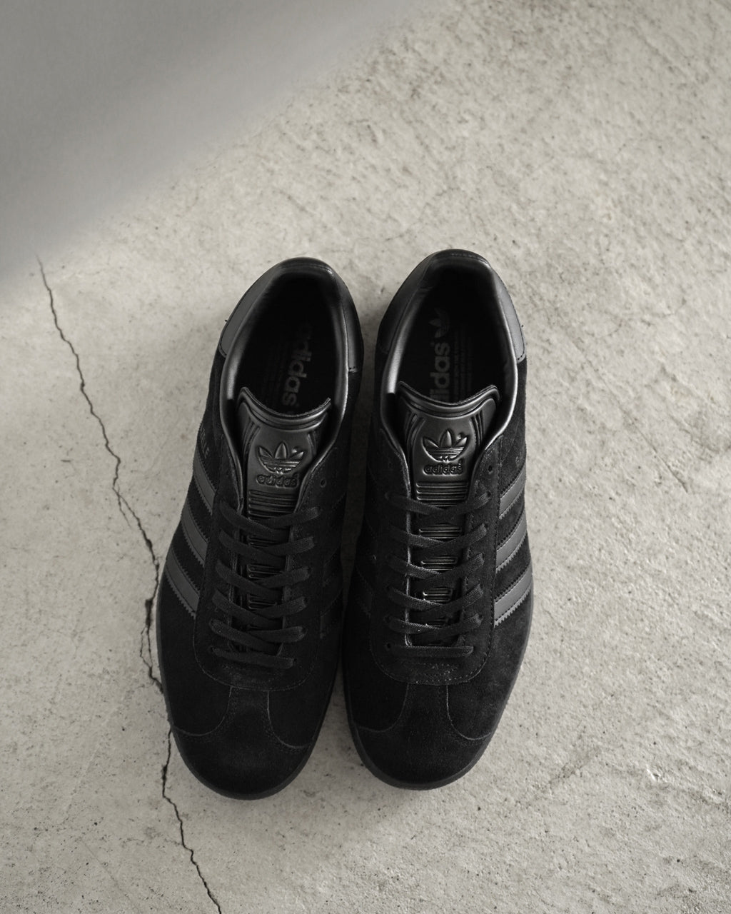 GAZELLE CQ2809