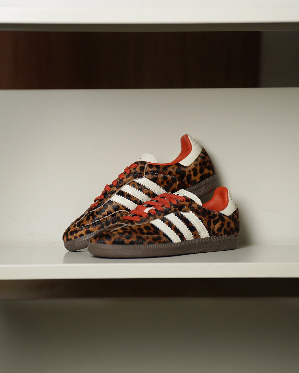 SAMBA OG W LEOPARD JI2734