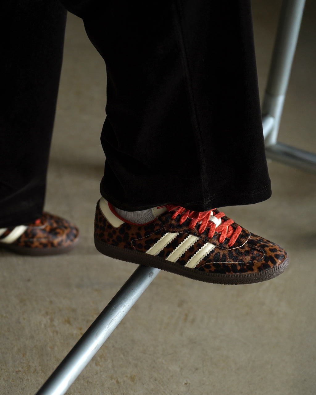 SAMBA OG W LEOPARD JI2734