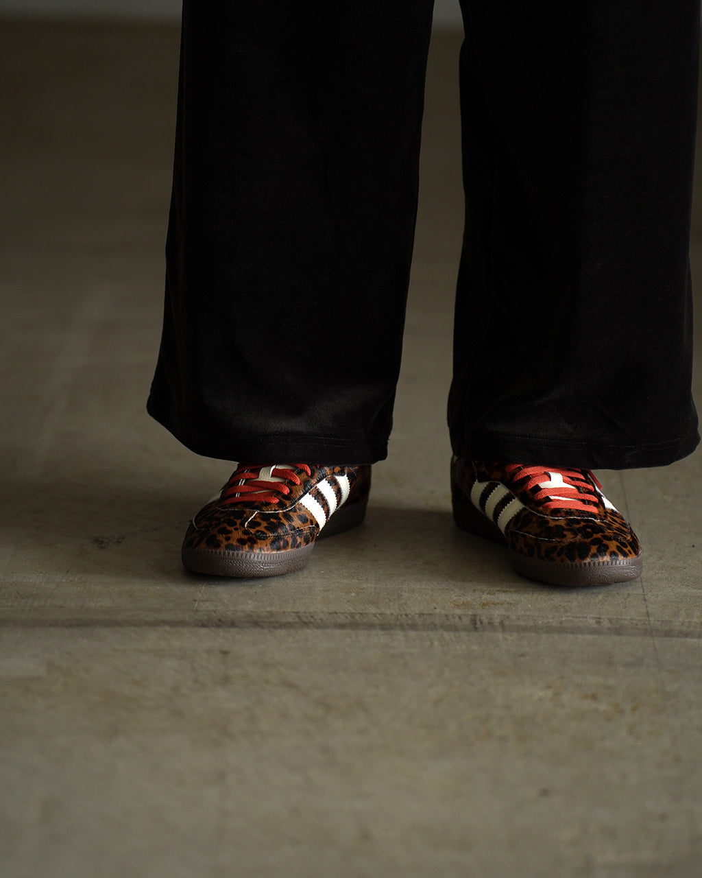 SAMBA OG W LEOPARD JI2734