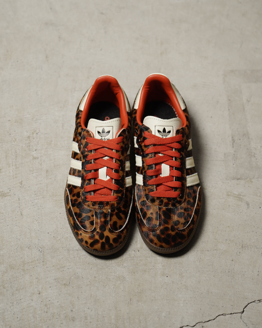 SAMBA OG W LEOPARD JI2734