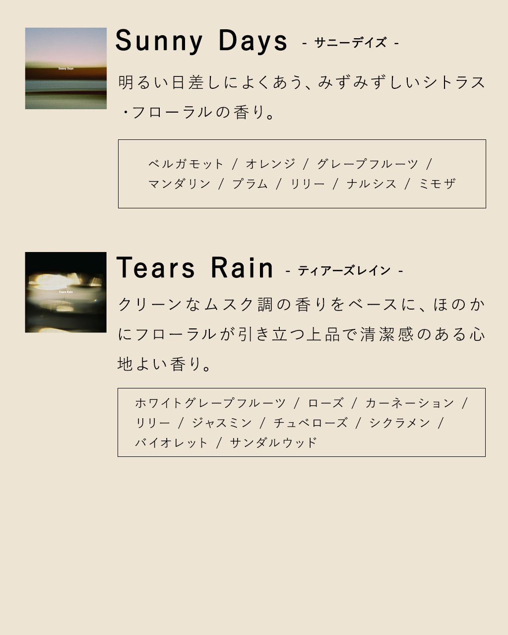 INCENSE STICKS