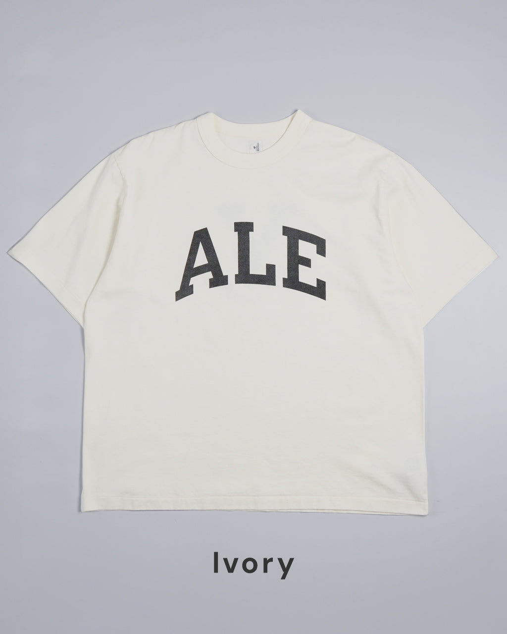 【SALE!20%OFF】プリントTシャツ ワイド ALE-Y 88/12 Print Tee WIDE bROOTS25S36A正規取扱店
