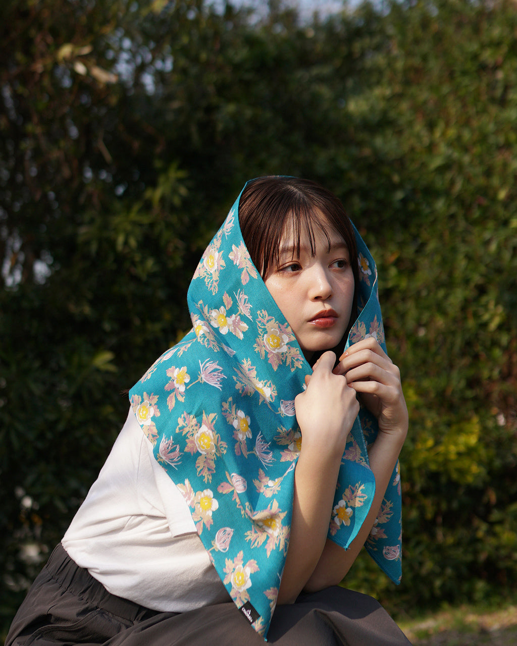 【山の植物】スポーツてぬぐい