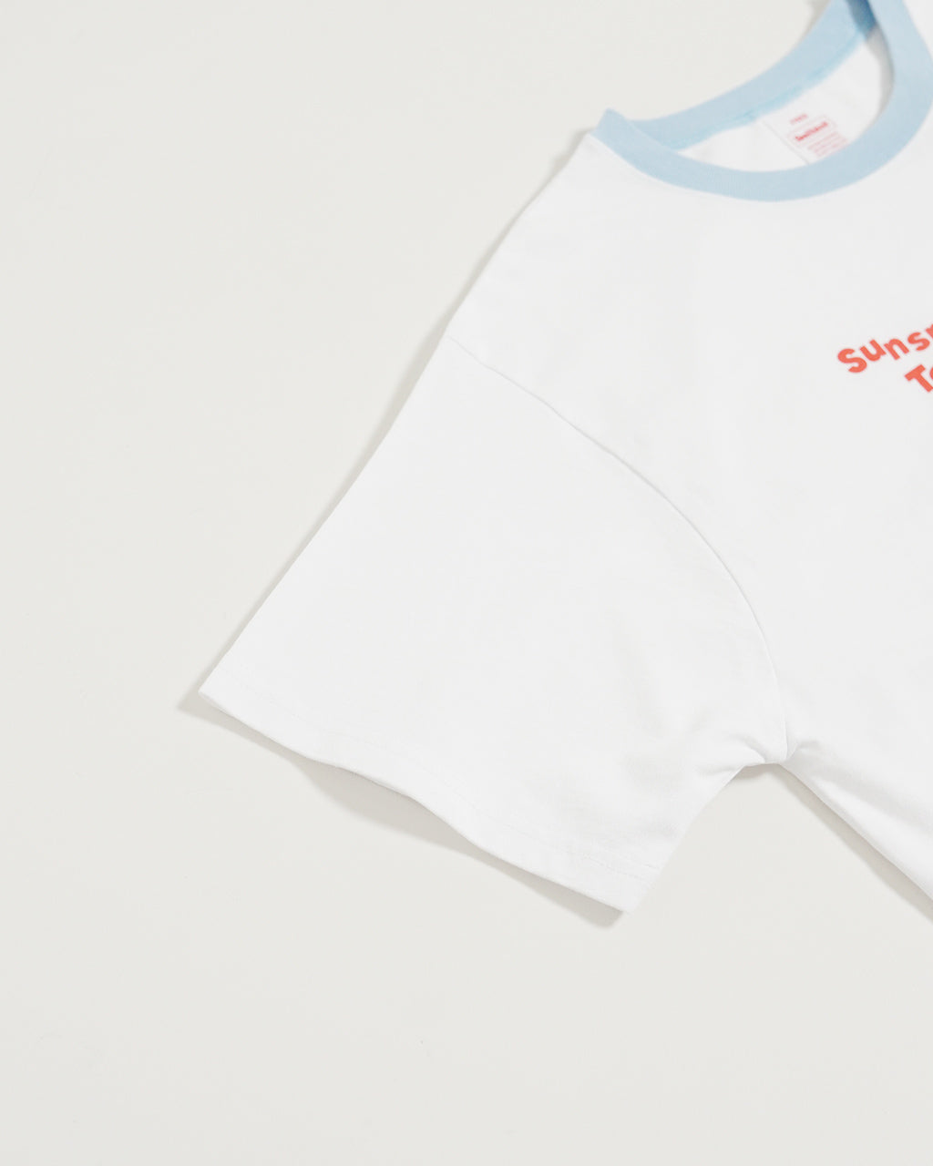 Healthknit ヘルスニット プリントショートスリーブ リンガーTシャツ Print S/S Ringer Tee 半袖 カットソー HR25S-L213