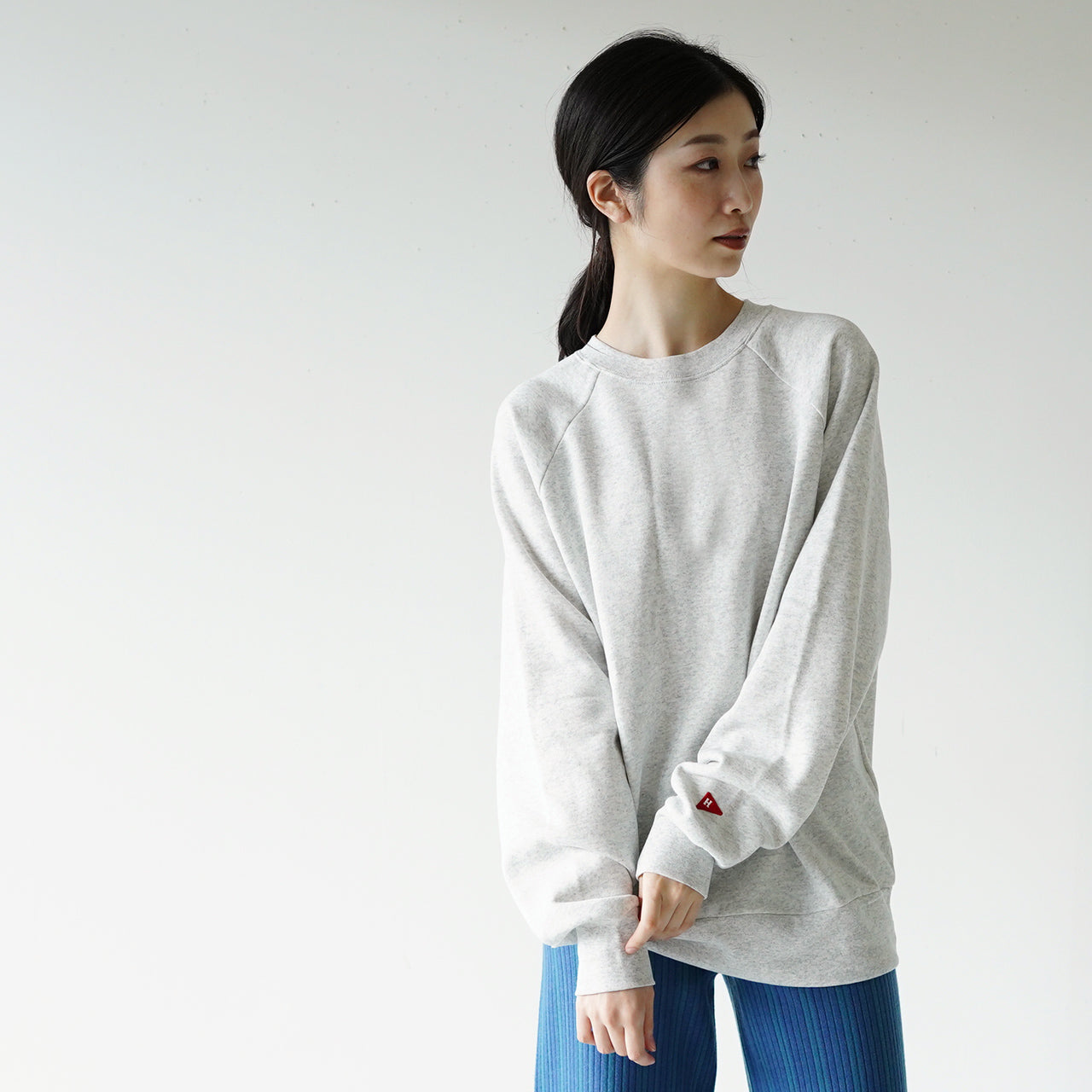 Healthknit ヘルスニット クラシック スウェット Classic Sweat クルーネック 長袖 プルオーバー 54006