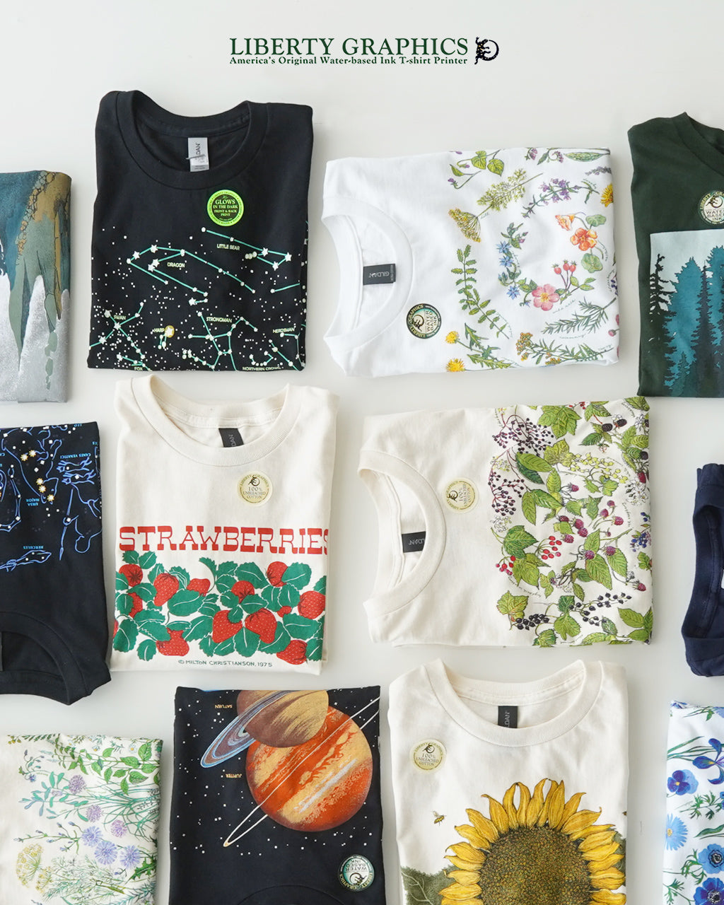 LIBERTY GRAPHICS リバティーグラフィックス 半袖Tシャツ グラフィックT クルーネック 天文学 宇宙 自然 植物 花 コットン 丸胴 カットソー
