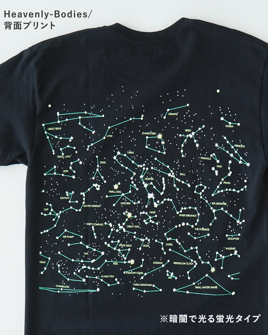 LIBERTY GRAPHICS リバティーグラフィックス 半袖Tシャツ グラフィックT クルーネック 天文学 宇宙 自然 植物 花 コットン 丸胴 カットソー