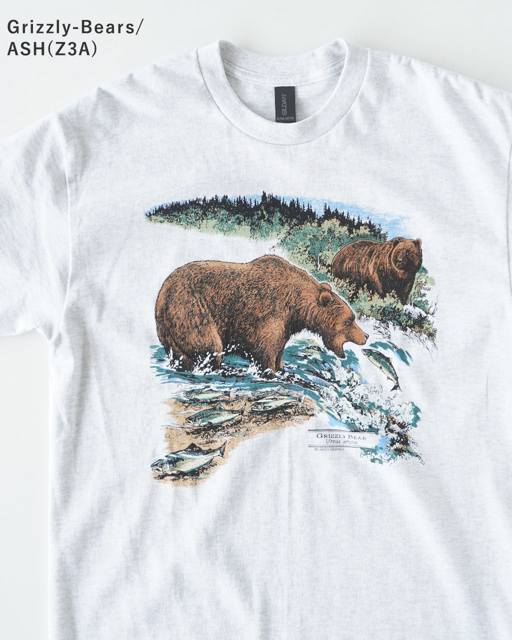 LIBERTY GRAPHICS リバティーグラフィックス 半袖Tシャツ グラフィックT クルーネック 動物 アニマル 恐竜 コットン 丸胴 カットソー