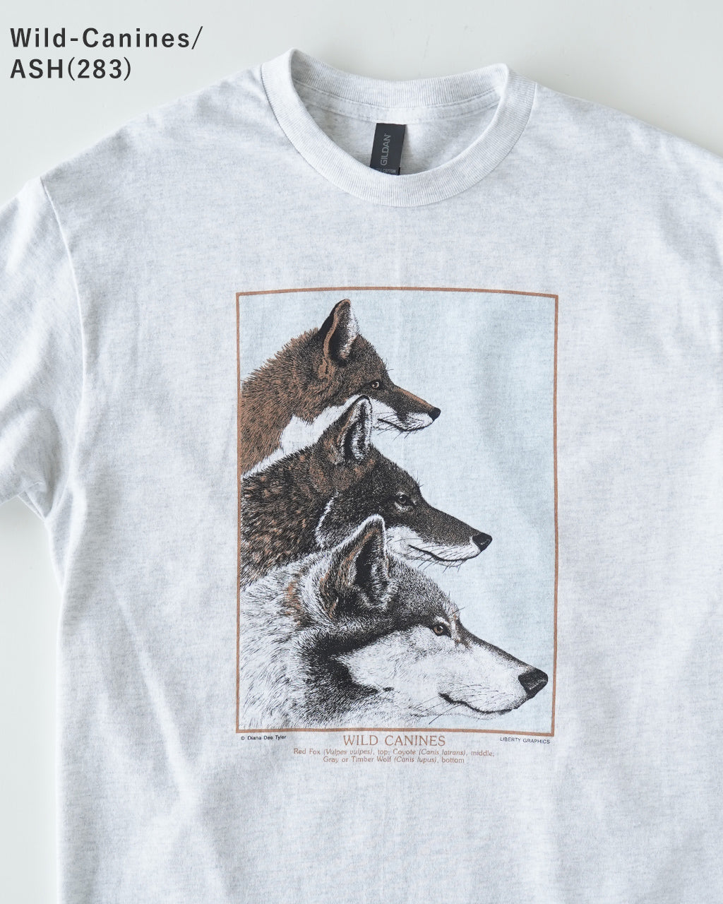 LIBERTY GRAPHICS リバティーグラフィックス 半袖Tシャツ グラフィックT クルーネック 動物 アニマル 恐竜 コットン 丸胴 カットソー