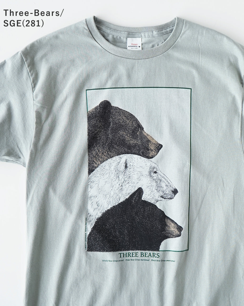 LIBERTY GRAPHICS リバティーグラフィックス 半袖Tシャツ グラフィックT クルーネック 動物 アニマル 恐竜 コットン 丸胴 カットソー