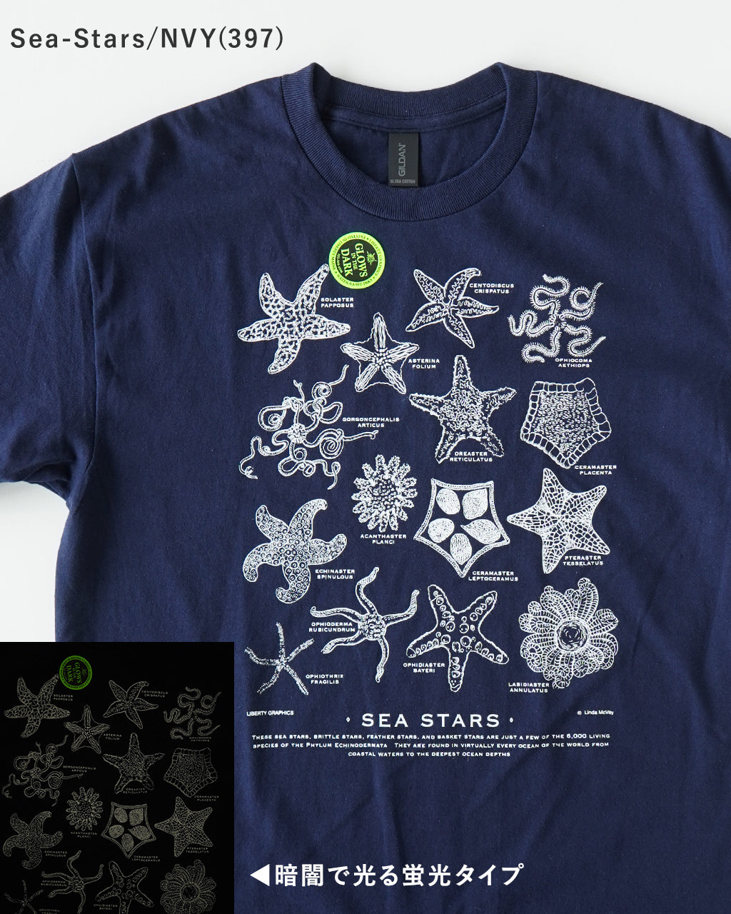 LIBERTY GRAPHICS リバティーグラフィックス 半袖Tシャツ グラフィックT クルーネック 動物 アニマル 恐竜 コットン 丸胴 カットソー