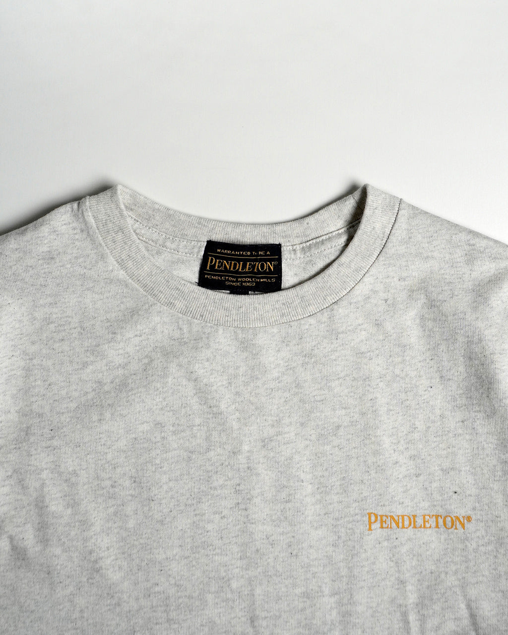 PENDLETON ペンドルトン バックプリントTシャツ クルーネック 半袖 カットソー オーバーサイズT Back Print Tee 5275-0105 コットン100%