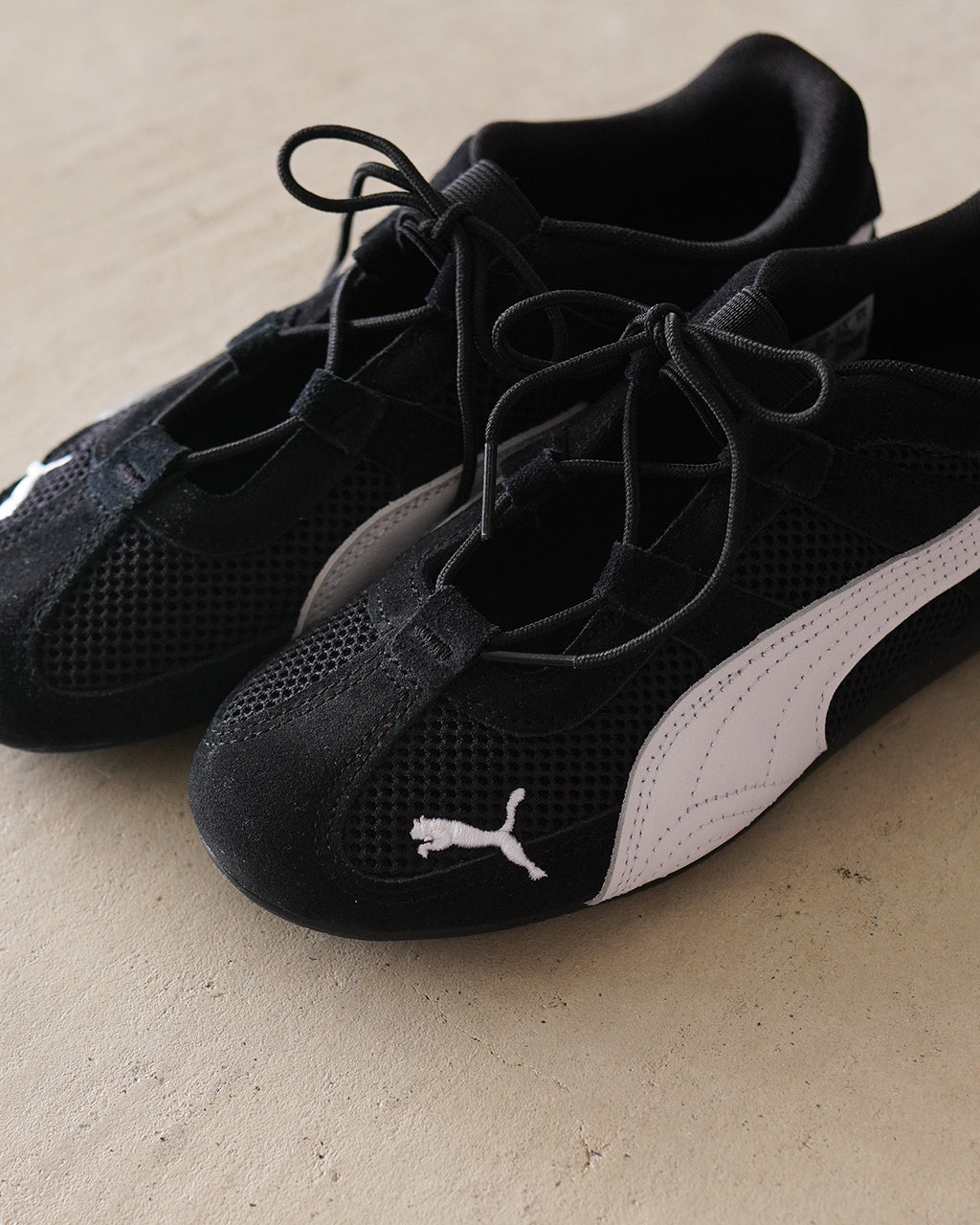 Speedcat Go Wns 403589