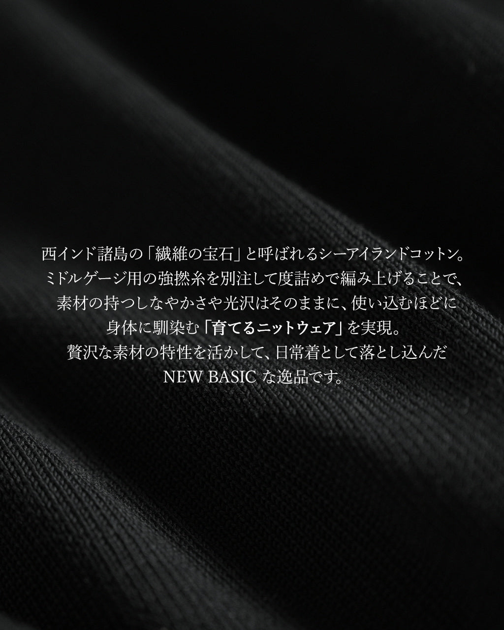 リジッド シーアイランド コットン プルオーバー RIGID SEA ISLAND COTTON P/O 長袖 ニット セーター 95-242-011 95-244038 95-252-008