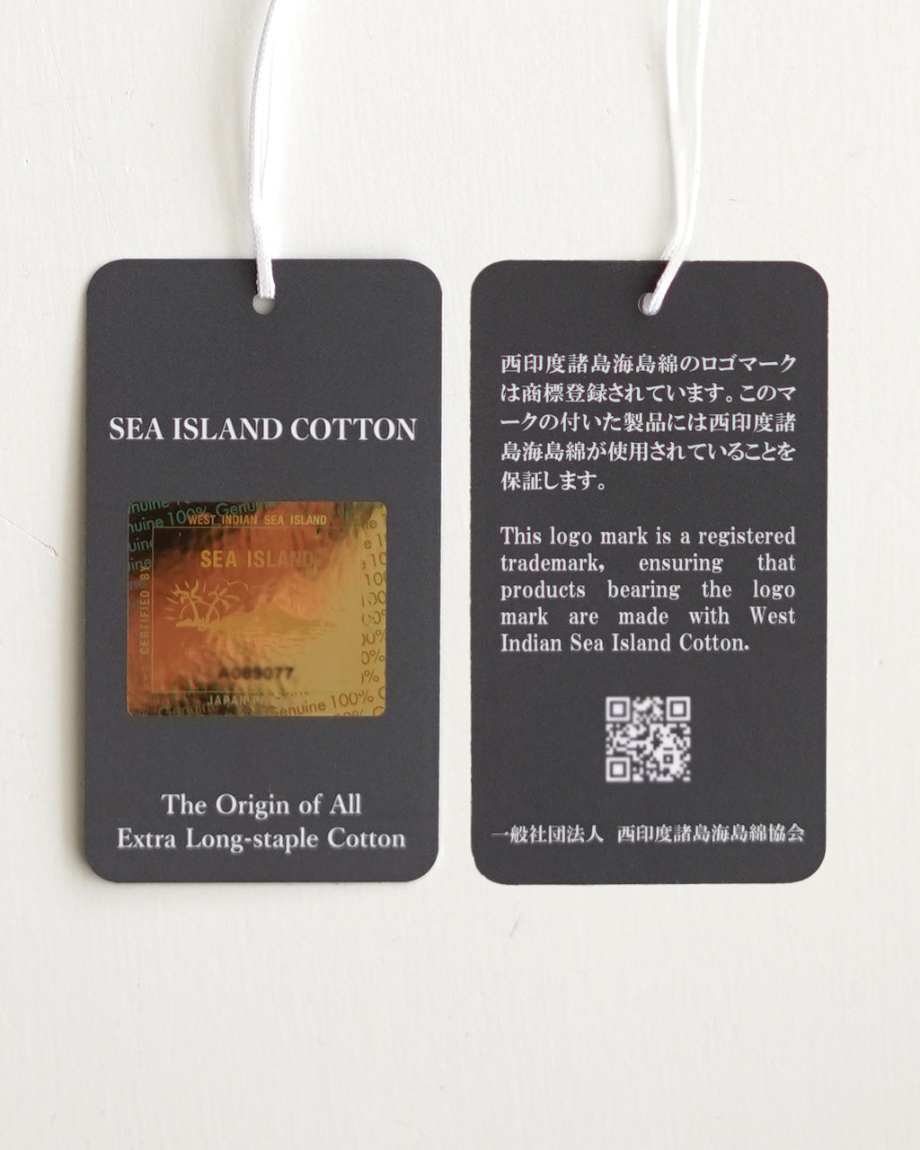 半袖ニットTシャツ リジッド シーアイランド コットン 丸胴 RIGID SEA ISLAND COTTON YOKO-MARUDO KNIT TEE 95-252-022