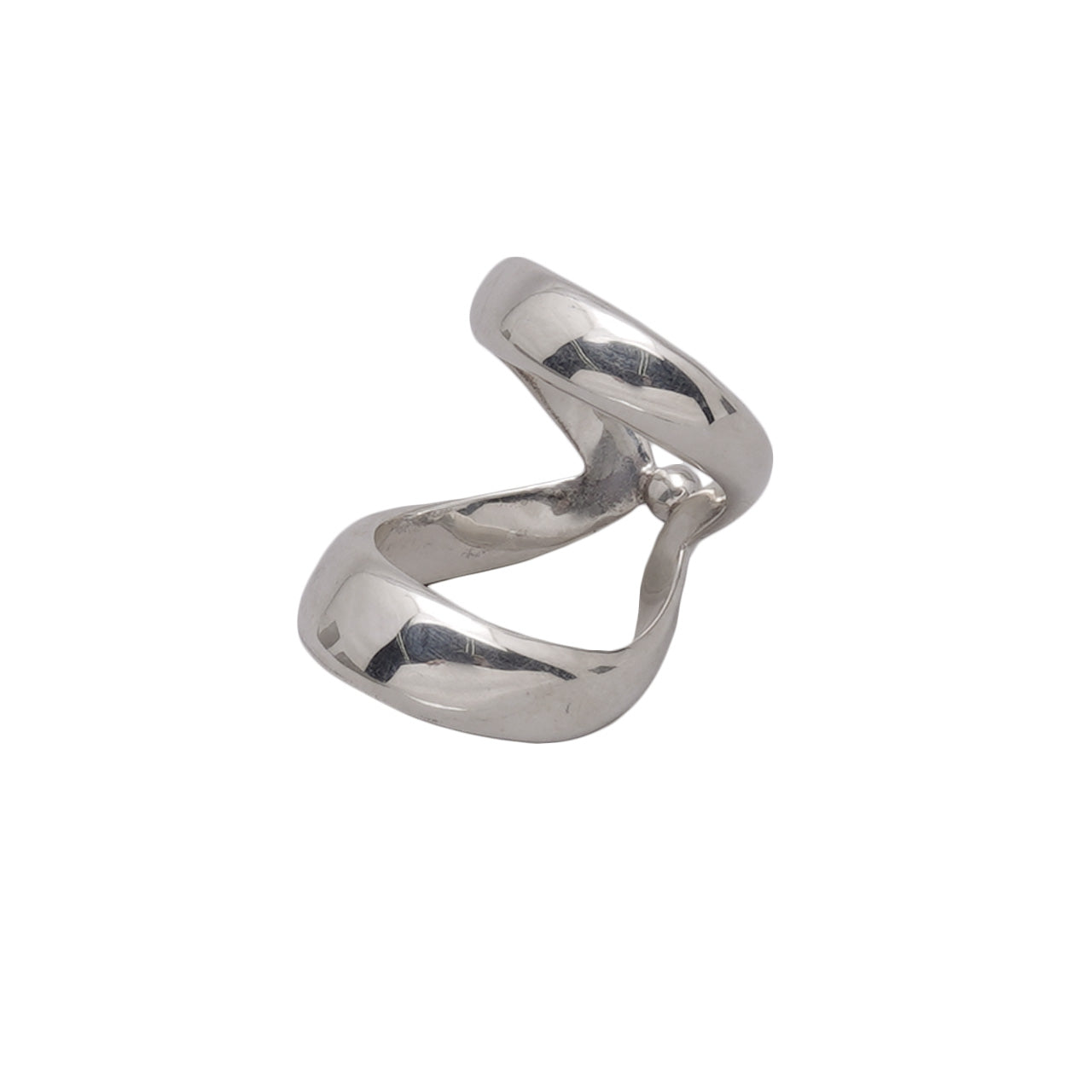 エターナル リング eternal ring シルバー925 指輪 アクセサリー 23SS050