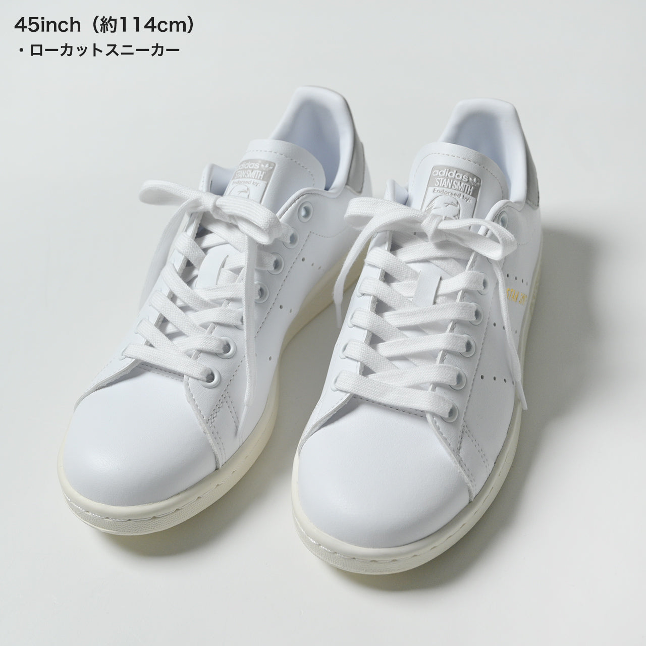 ディスイズ コットン シューレース -レギュラー- COTTON SHOE LACES -REGULAR- 靴紐 【メール便可】