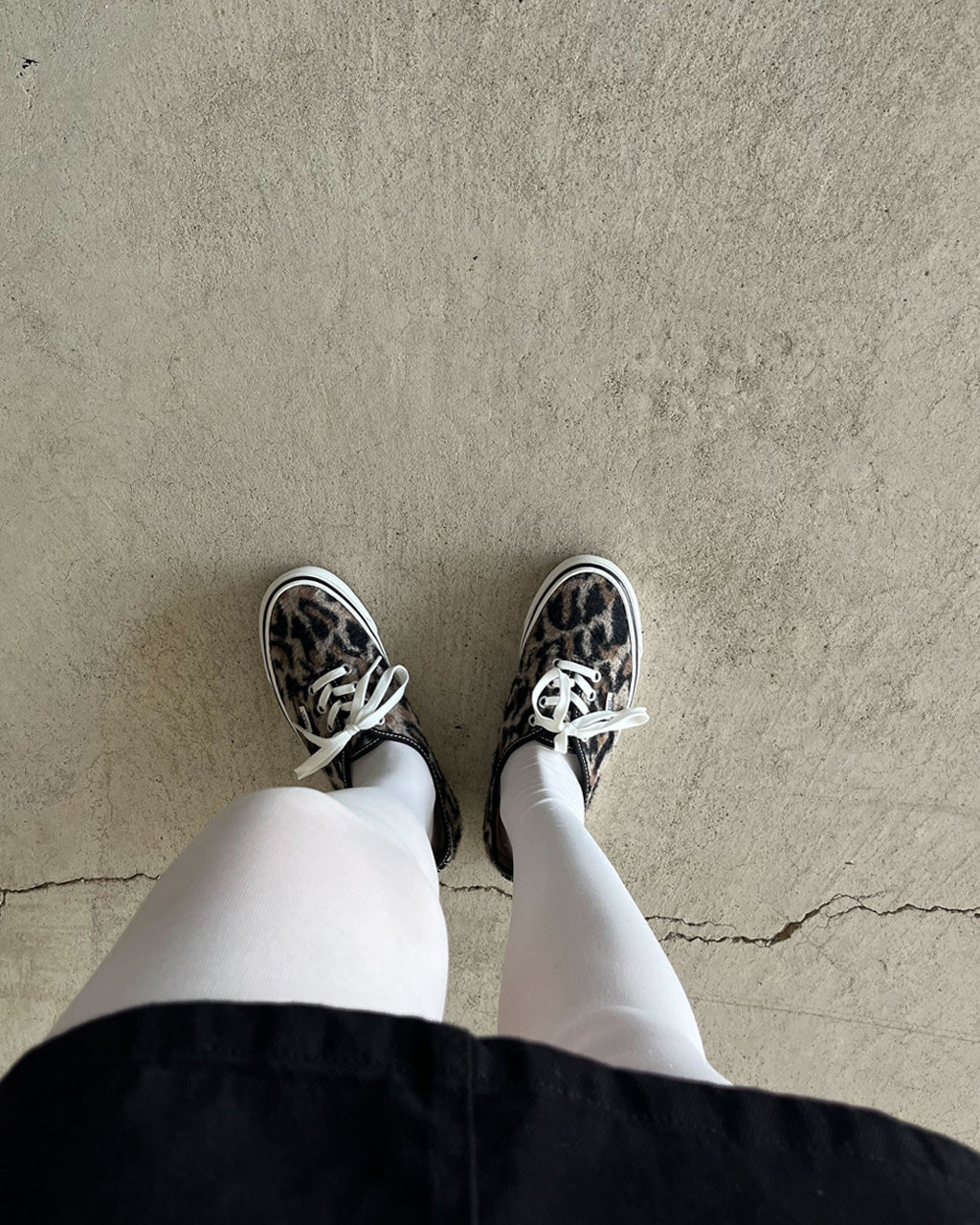 VANSのレオパードシューズ
