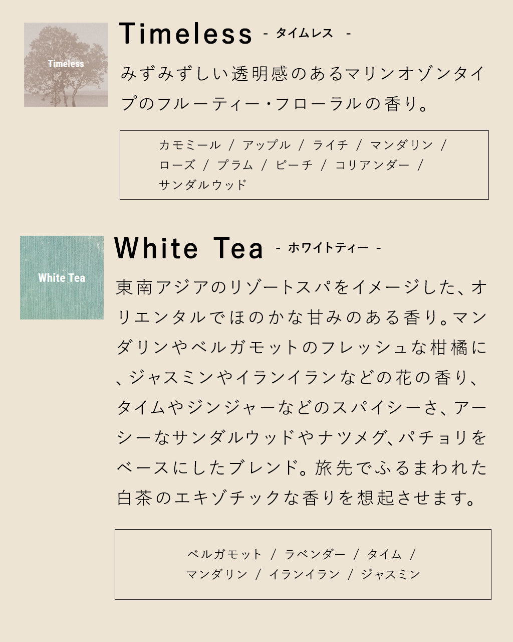 APFR アポテーケ リード ディフューザー REED DIFFUSER アロマ