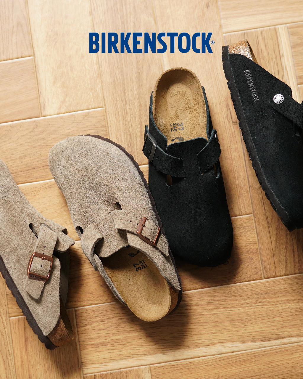 BIRKENSTOCK ビルケンシュトック Boston LEVE ボストン スエード