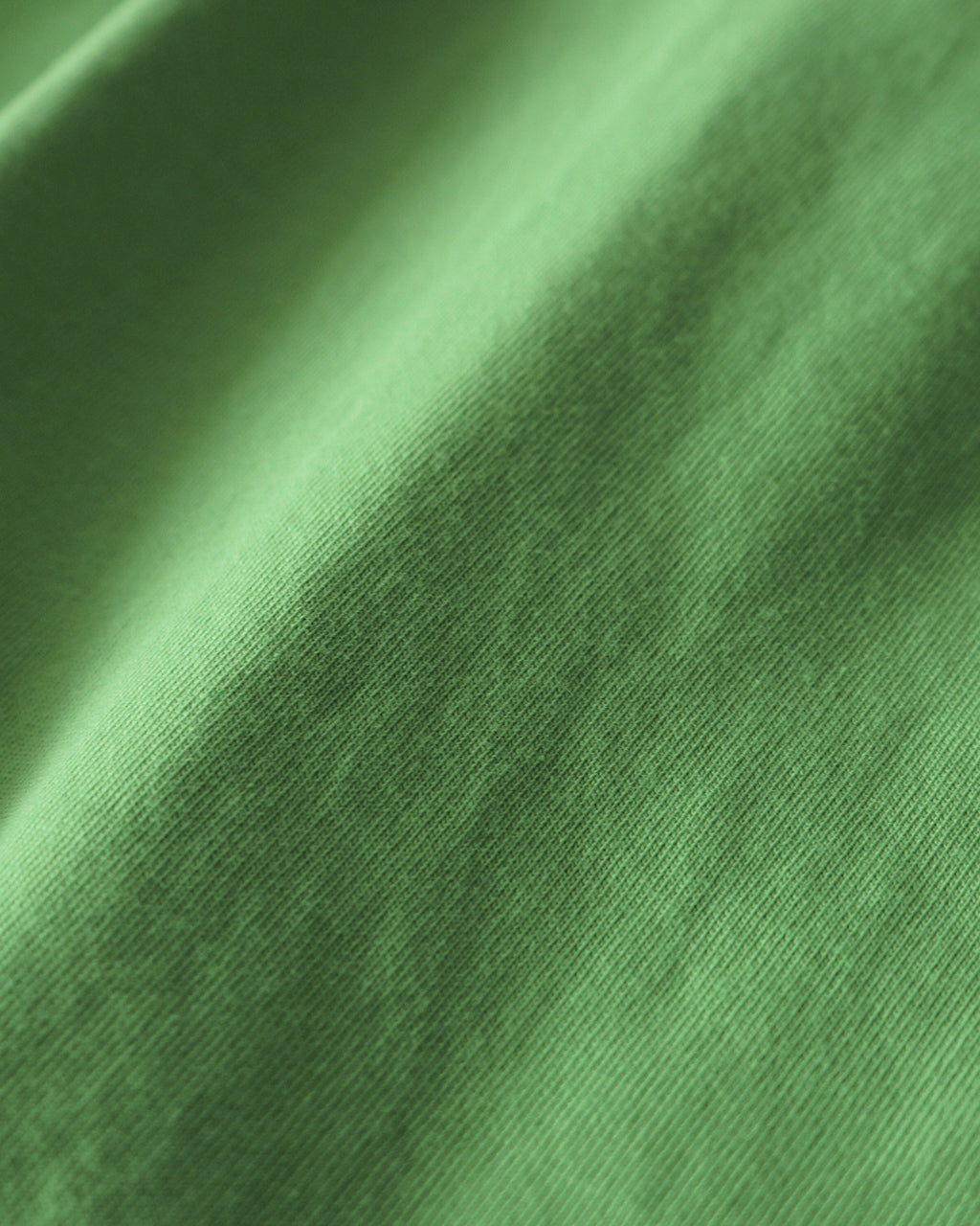 blurhms ROOTSTOCK Classic S/S STANDARD Tシャツ 半袖 コットン｜Crouka(クローカ)