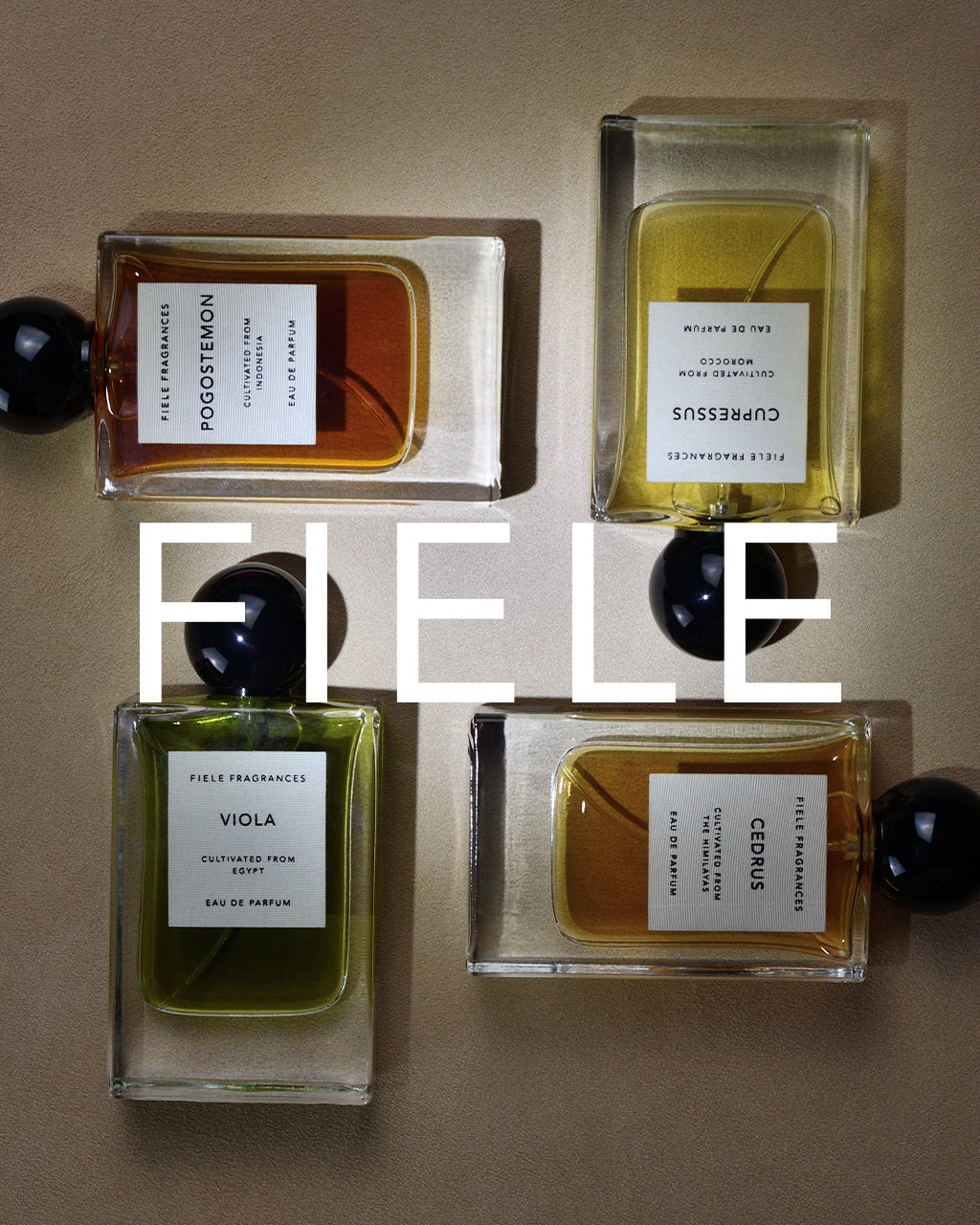 FIELE FRAGRANCES フィエール フレグランス 香水 天然植物 アロマテラピー 香り【クーポン対象外】【送料無料】