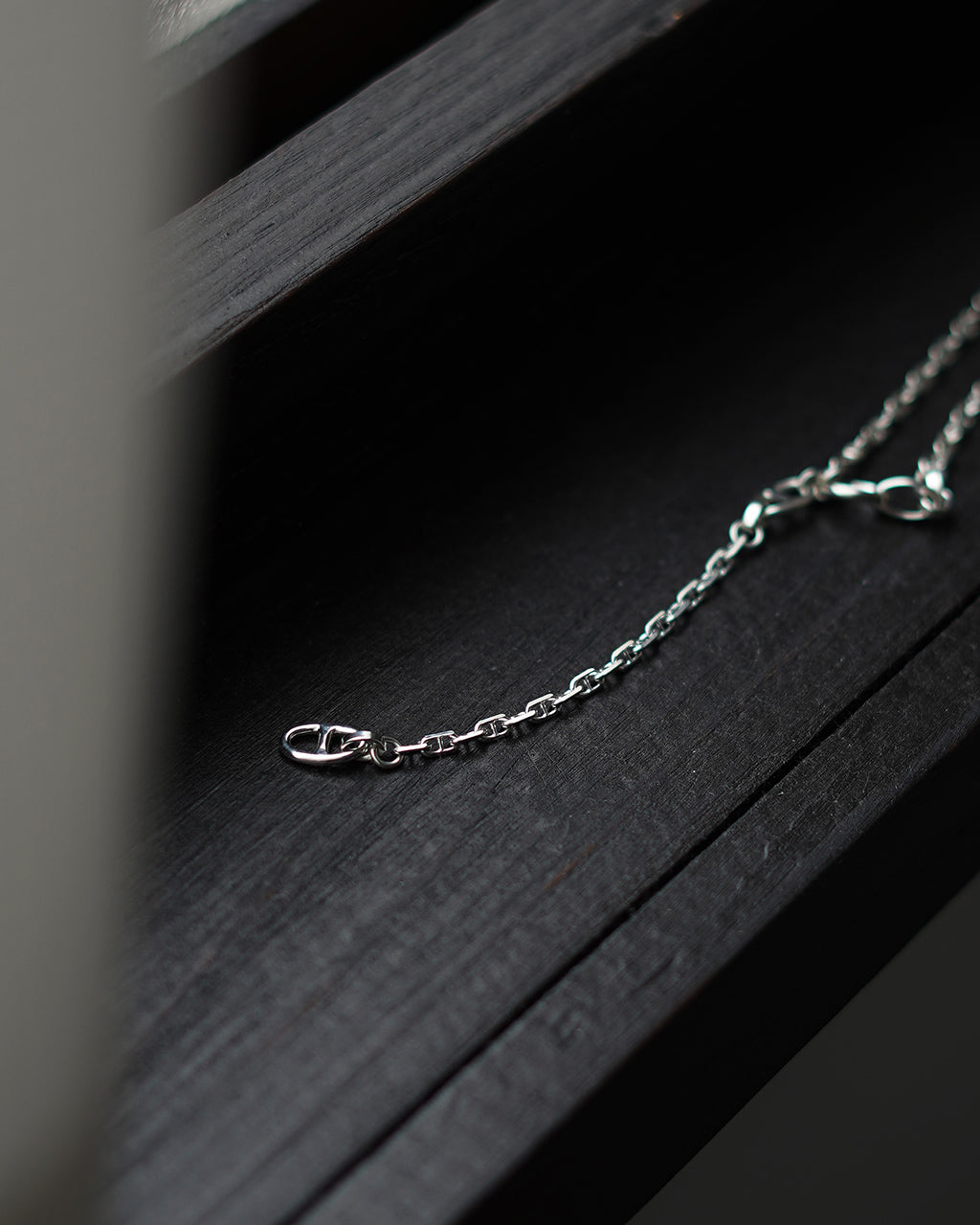 ｜point × 10｜ANCHOR CHAIN NECKLACE / SEAMLESS CLASP 25SS0009