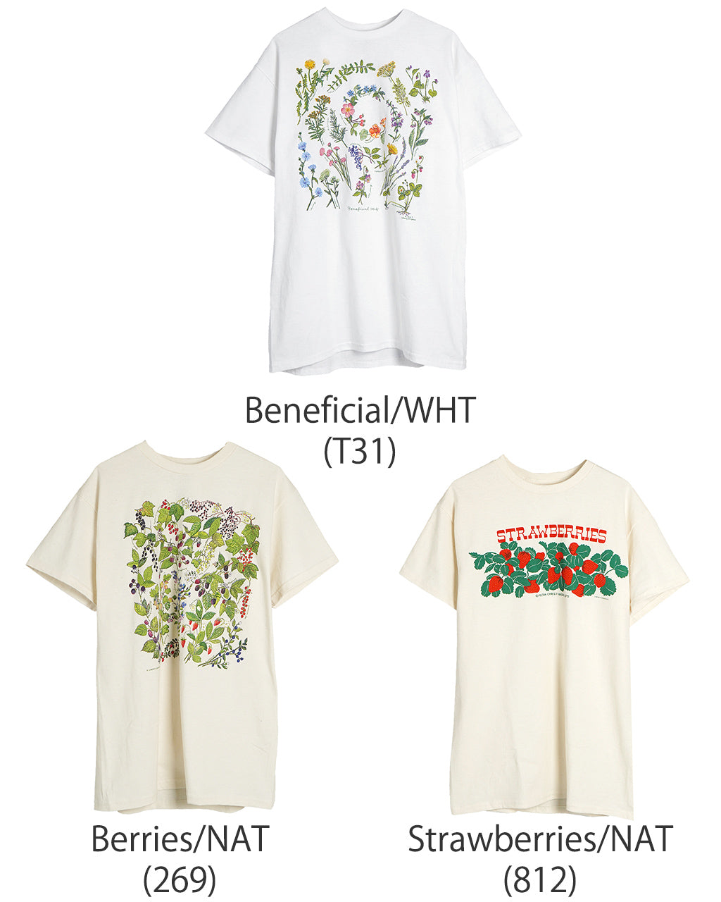 LIBERTY GRAPHICS リバティーグラフィックス  半袖Tシャツ グラフィックT クルーネック 天文学 宇宙 自然 植物 花 コットン 丸胴 カットソー