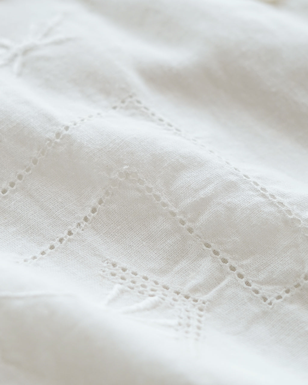 Embroidery blouse LV-SH5301【先行予約】【2026年3月中旬頃入荷予定】