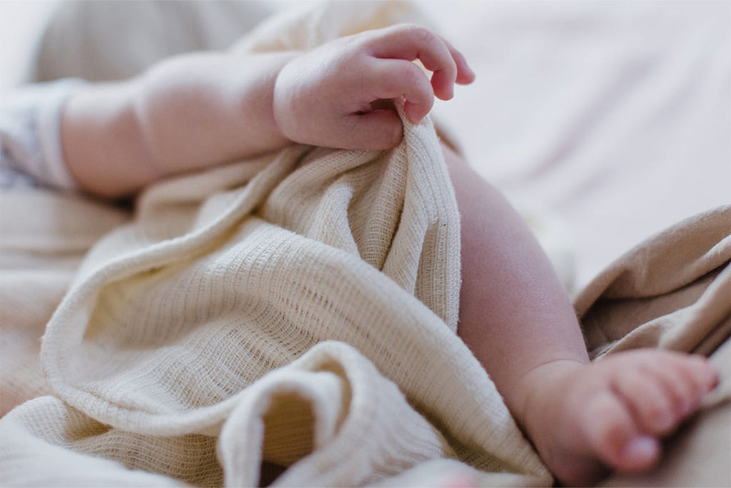 みやざきタオル 今治オーガニックブランケット まくらカバー imabari organic blanket 110 まくらのブランケット いまばりタオル ギフト【クーポン対象外】