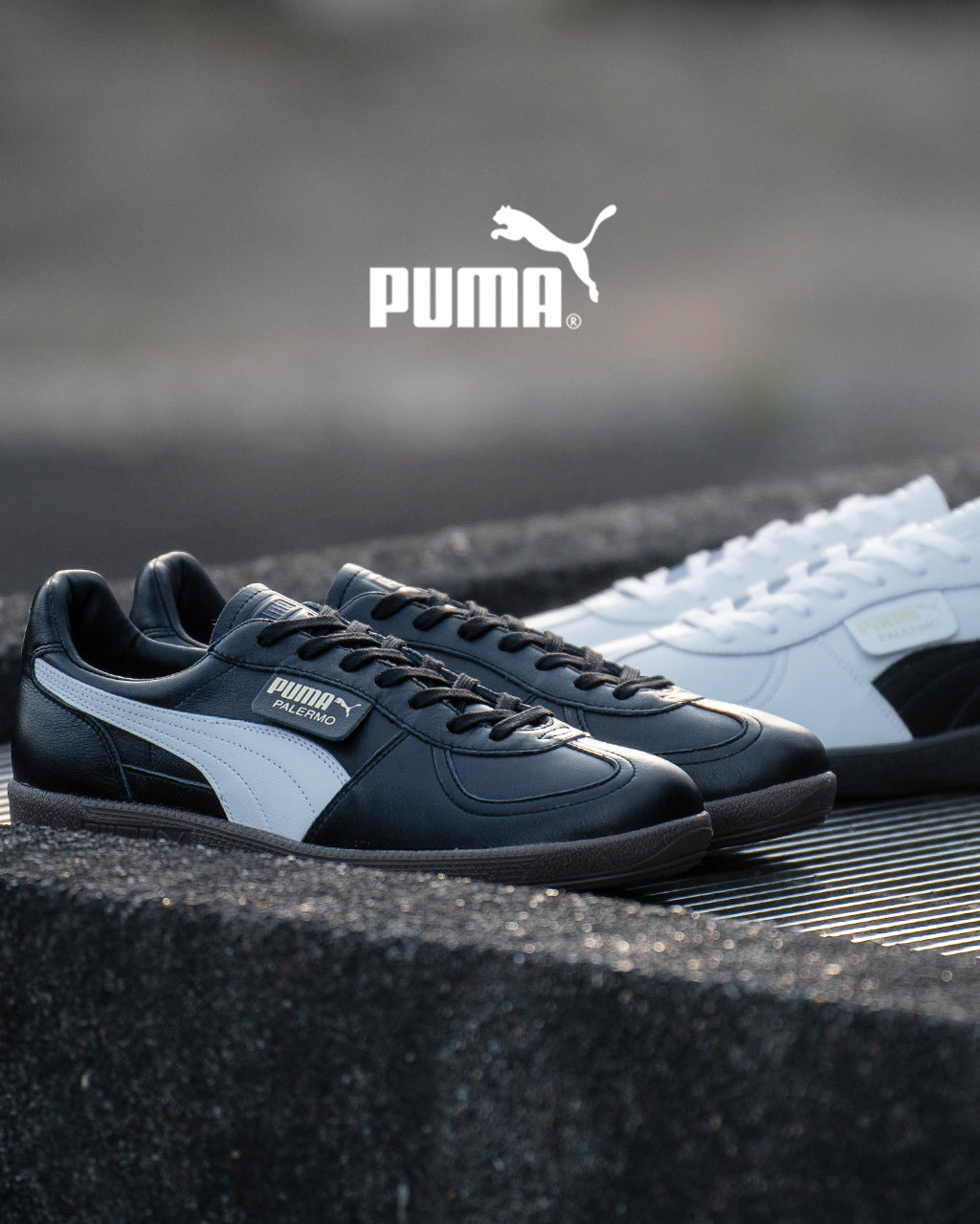 【アウトレット！30%OFF】puma プーマ スニーカー PALERMO パレルモ メイドインジャパン レザー PALERMO LTH MIJ テラスシューズ 靴 402384【送料無料】