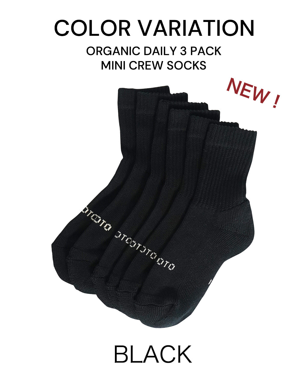 ROTOTO ロトト オーガニック デイリー 3パック ミニ クルー ソックス ORGANIC DAILY 3 PACK MINI CREW SOCKS 靴下 R1522