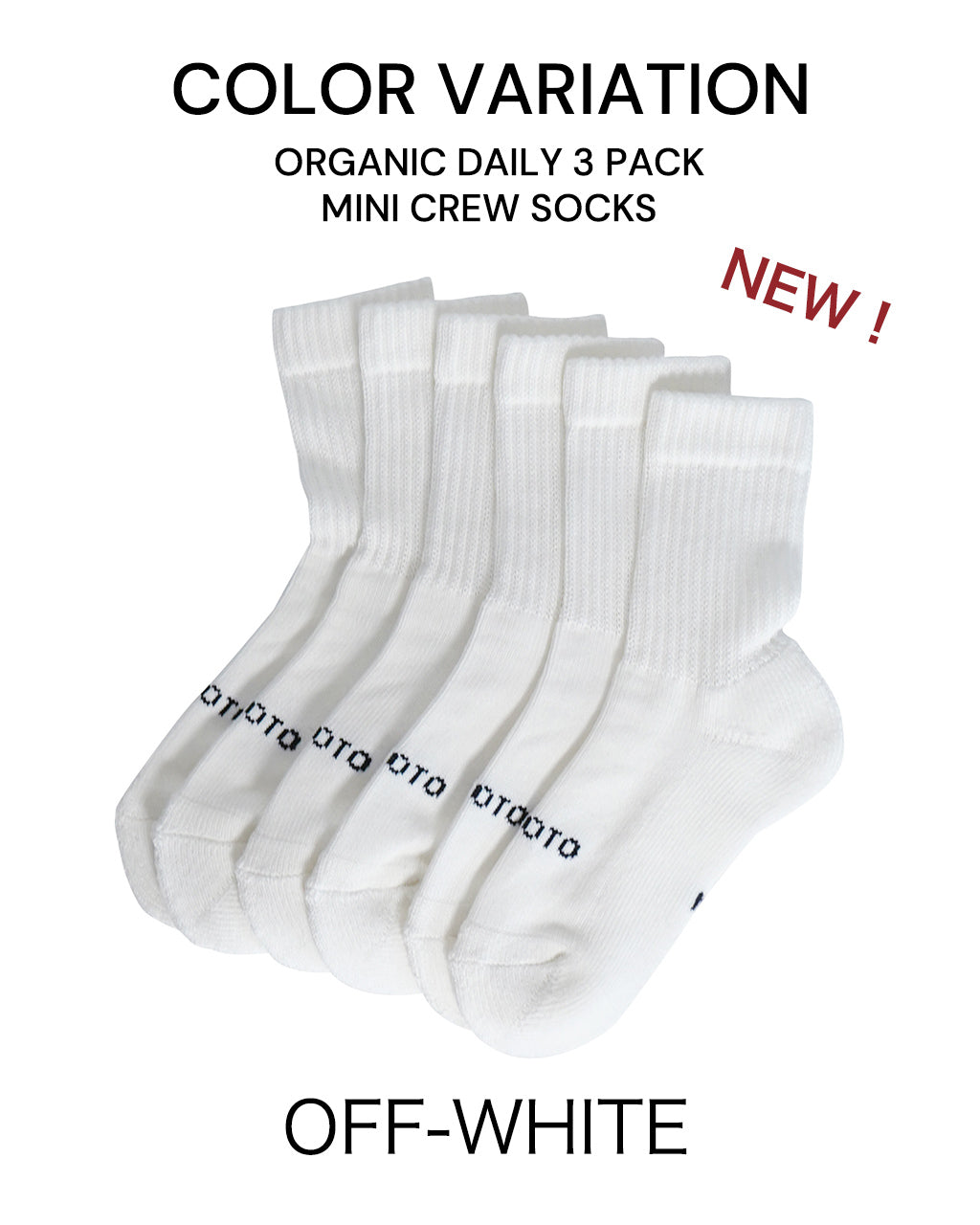 ROTOTO ロトト オーガニック デイリー 3パック ミニ クルー ソックス ORGANIC DAILY 3 PACK MINI CREW SOCKS 靴下 R1522