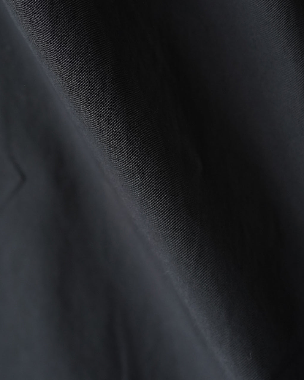 Garment-dye 2 pleat pants PT01261