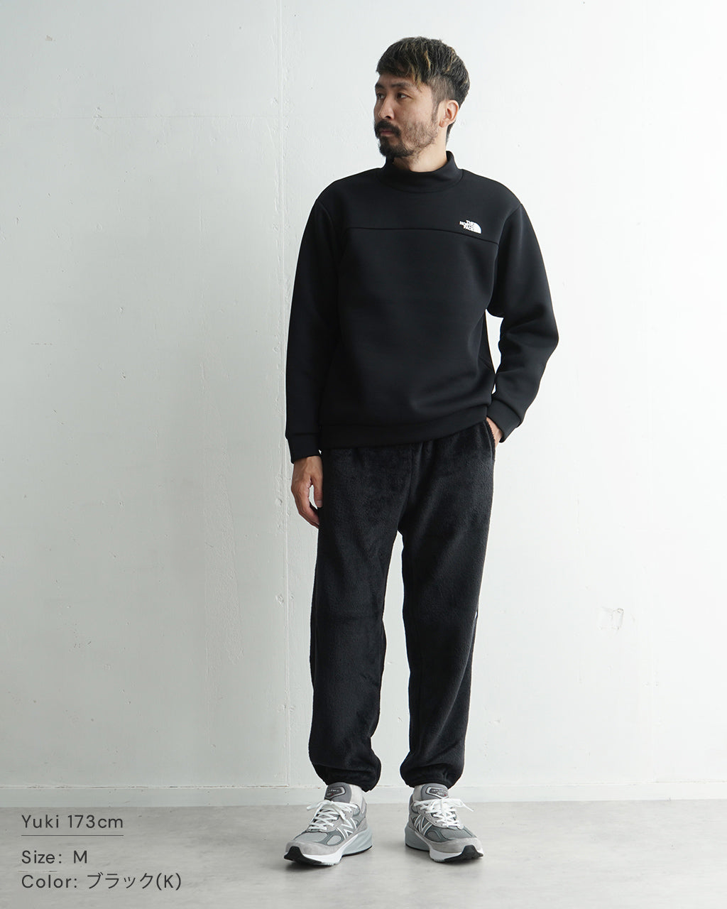 THE NORTH FACE ノースフェイス テックエアー スウェット モックネック Tech Air Sweat Mock Neck プルオーバー NT62484【送料無料】