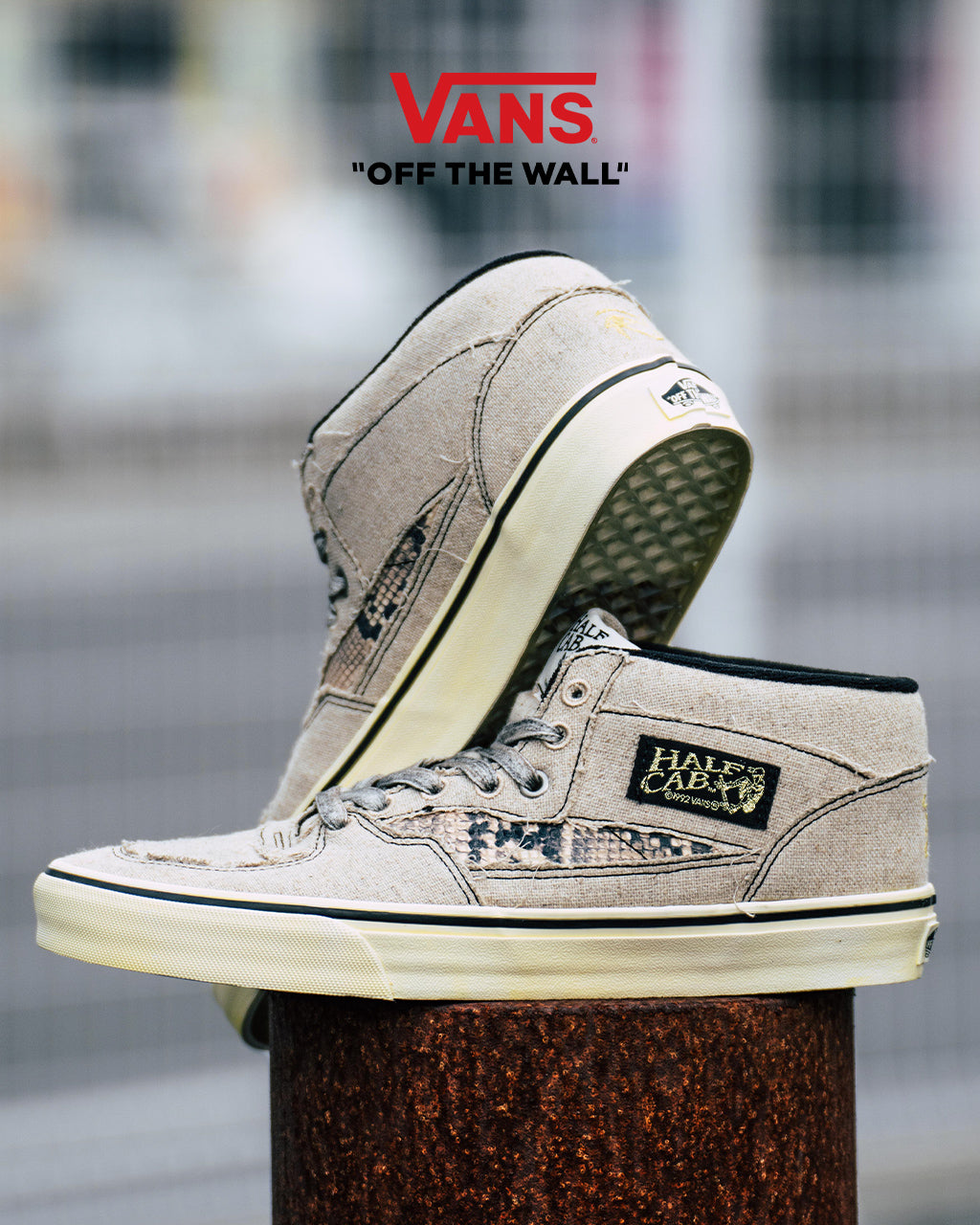 【SALE！20%OFF】VANS ヴァンズ バンズ ハーフキャブ ミドルカット スニーカー シューズ HALF CAB VN000CMUEBS