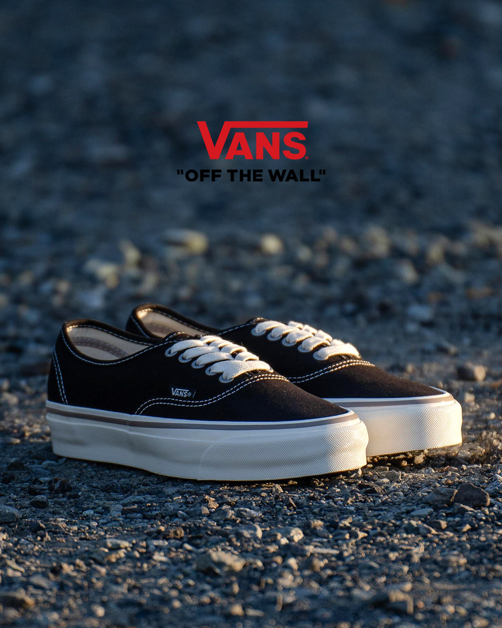 【アウトレット！30%OFF】VANS ヴァンズ ローカット スニーカー シューズ レースアップ 靴 MTE AUTHENTIC REISSUE 44 VN000CT71KP