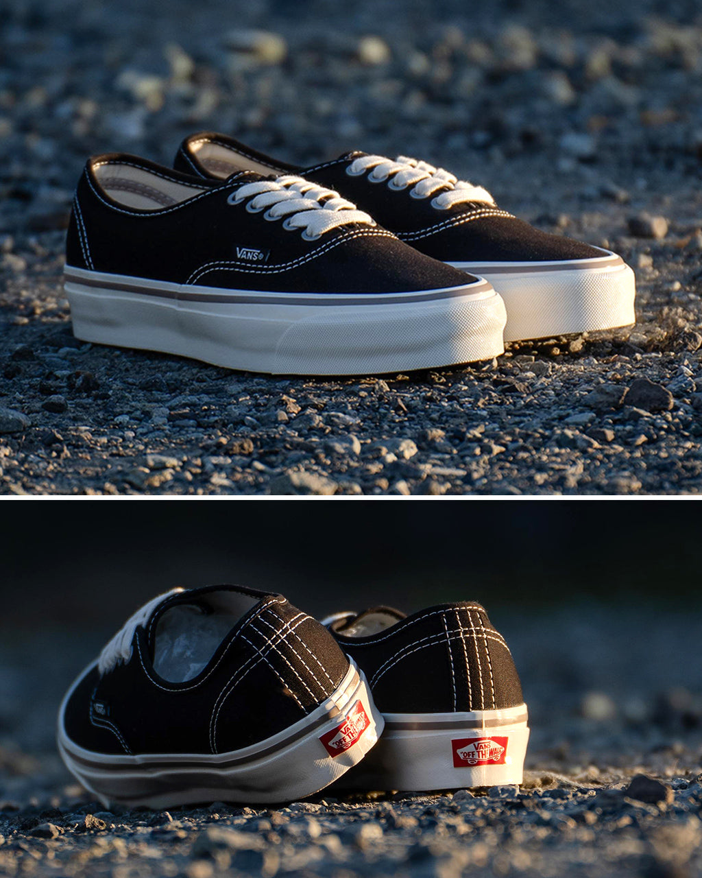 VANS ヴァンズ ローカット スニーカー シューズ レースアップ 靴 MTE AUTHENTIC REISSUE 44 VN000CT71KP