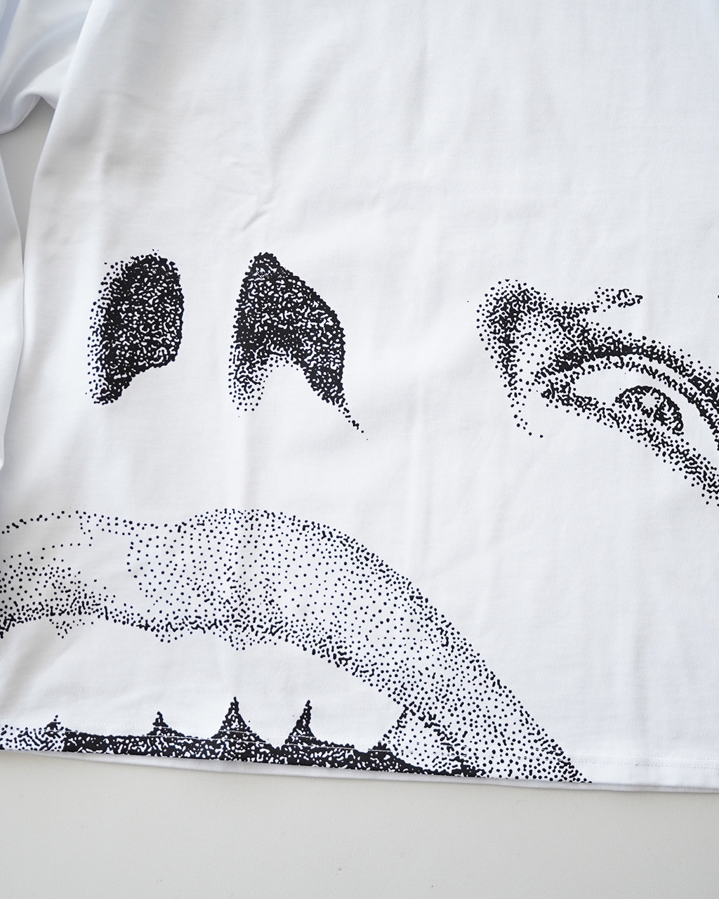 VANS ヴァンズ バンズ ED DAVIS LS TEE エド・デイビス LS 長袖 Tシャツ プリントT グラフィックT | Crouka(クローカ)