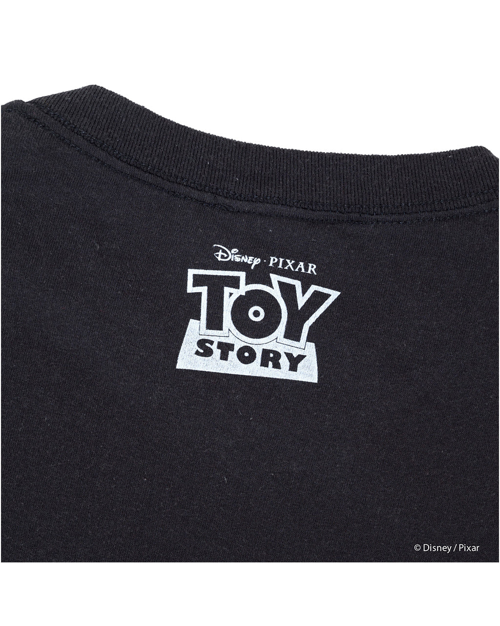 VARIEGATOR バリゲーター シド・フィリップ スカル/Tシャツ ユニ
